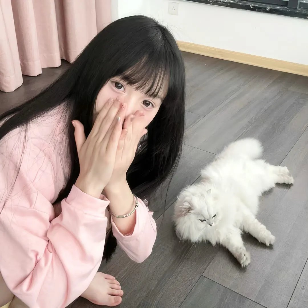 小鸟总动员